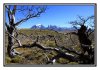 20/IMG_4480 kim site.jpg